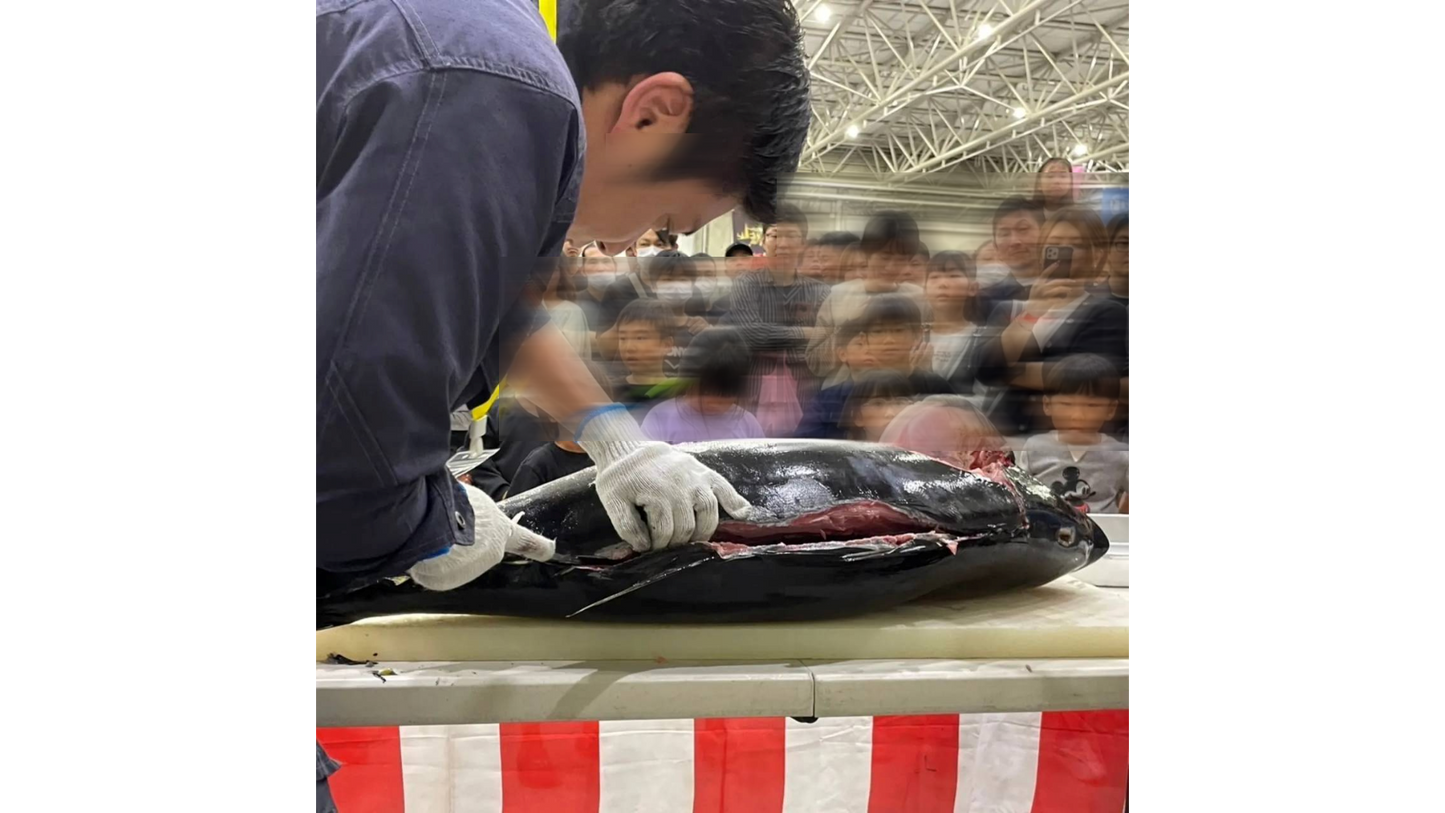 まぐろの解体Show